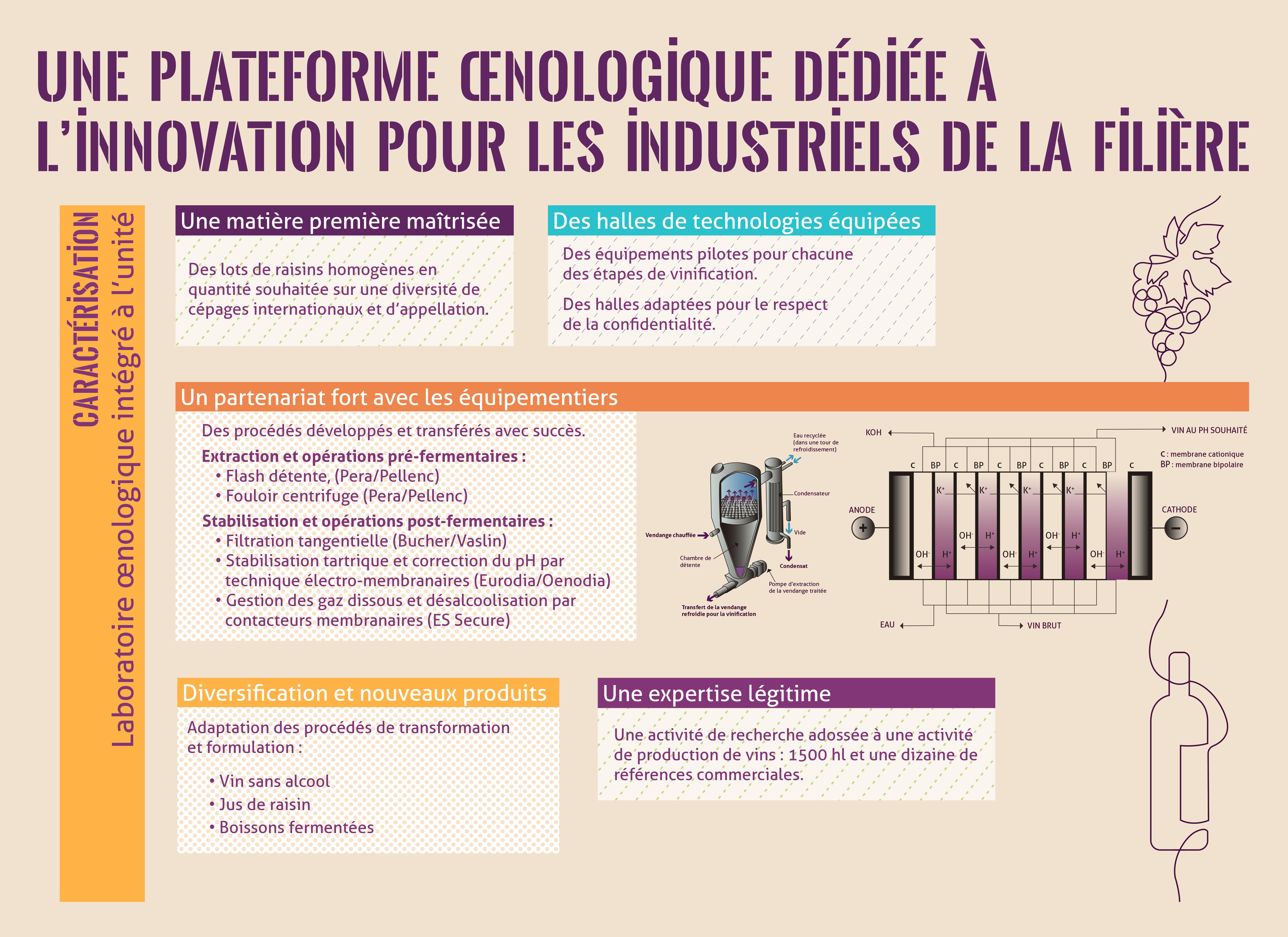 Plateforme Oenologique