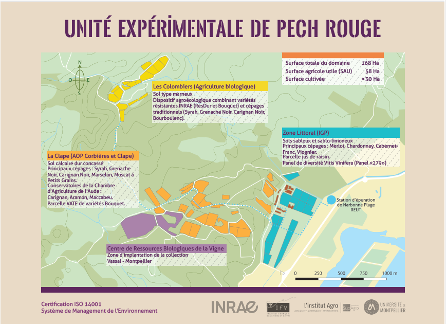 Carte-Pech-Rouge