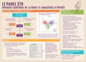 Choix 279 varietes Panel